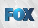 Fox Fox