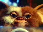 Gremlins: Animationsserie um die kleinen Monster geplant 
