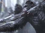 Planet der Affen 3: Survival - Faktencheck zur Fortsetzung Planet der Affen 3: Survival - Faktencheck zur Fortsetzung