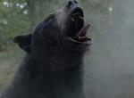 Gefährlich unlustig – Kritik zu Cocaine Bear Gefährlich unlustig – Kritik zu Cocaine Bear