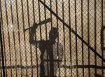Kritik zu The Walking Dead 7.04: Service Kritik zu The Walking Dead 7.04: Service