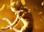 Schnurrli, was ficht dich an?! - Kritik zu Cats Schnurrli, was ficht dich an?! - Kritik zu Cats