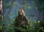 Dead or Alive Or: Kritik zu The Walking Dead 8.11 Dead or Alive Or: Kritik zu The Walking Dead 8.11